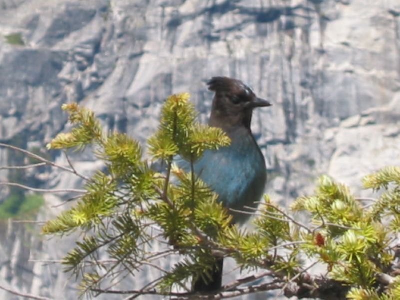 Anke Jan Yosemite June 14 2003 025